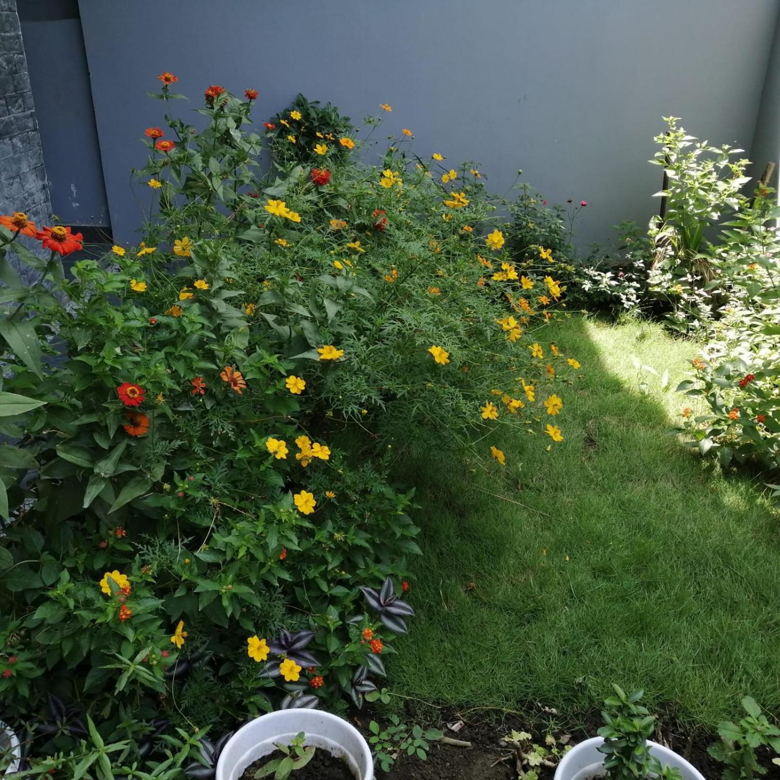 Aashiyana Home Stay Bhopal Exterior foto